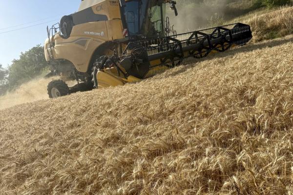 CX NEW HOLLAND EVEREST INTEGRALE