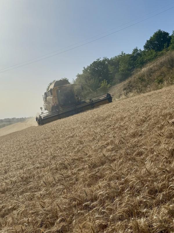 CX NEW HOLLAND INTEGRALE